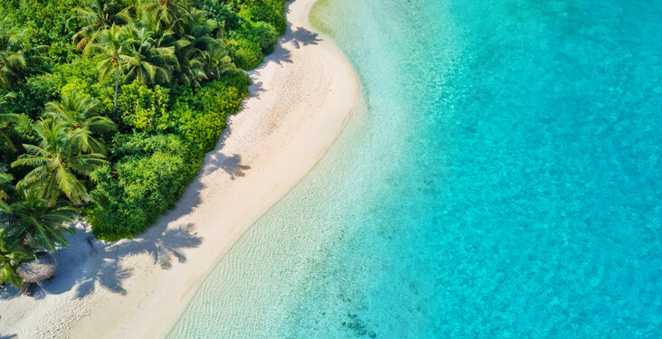 Where to go in December